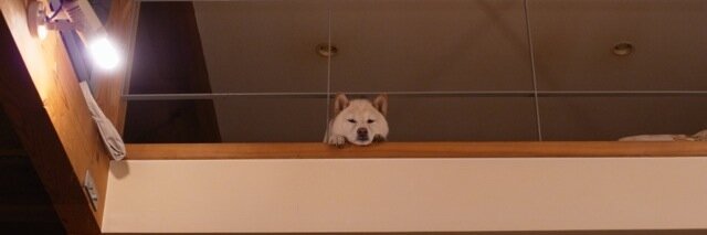 HiroyukiY's profile banner image