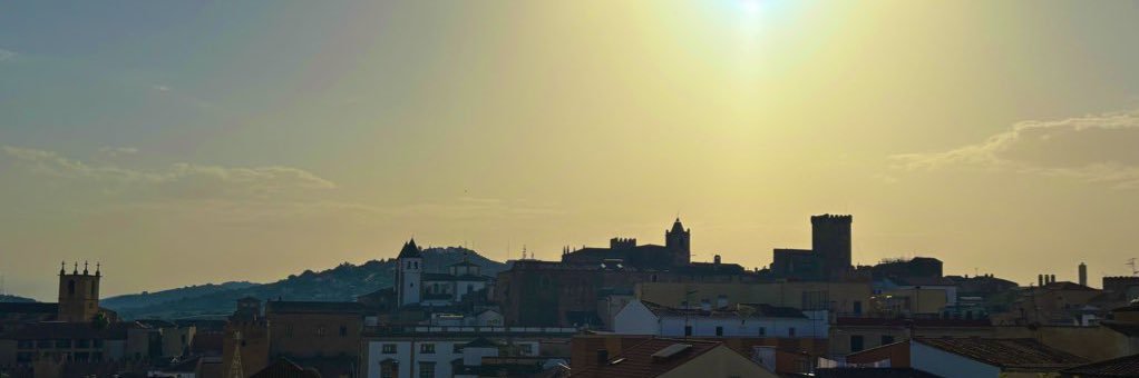 Mirko Czentovič banner