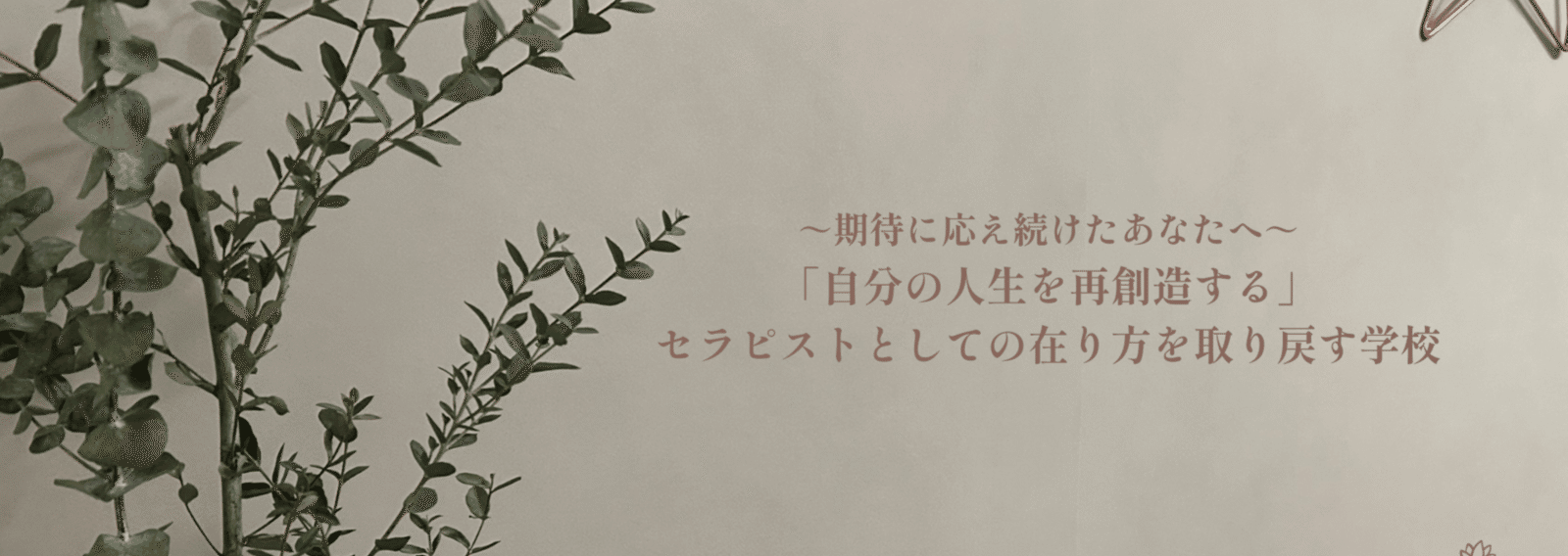 charolinaolina's profile banner image