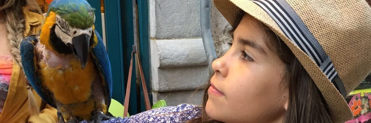 Refereealberto's profile banner image