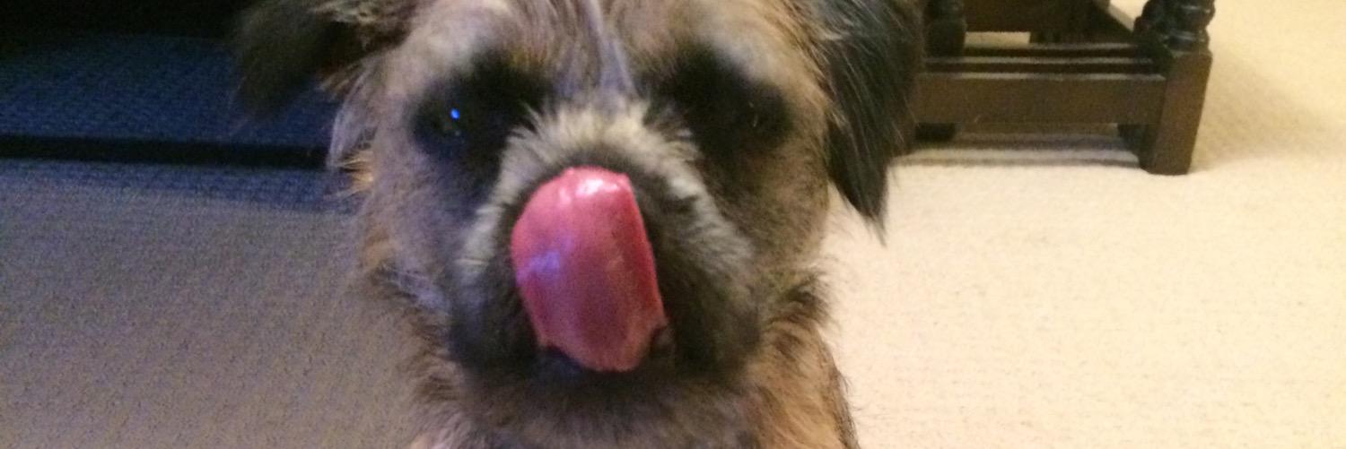 Pepper_theBT's profile banner image