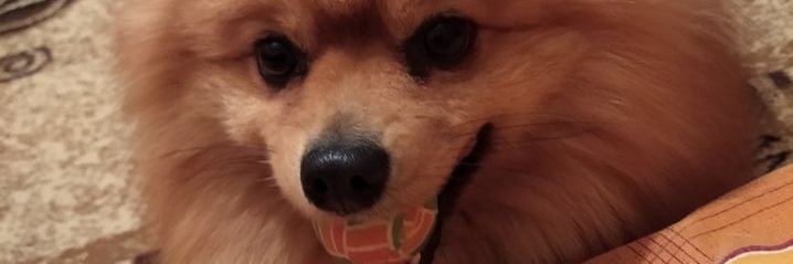 ceco_rz's profile banner image