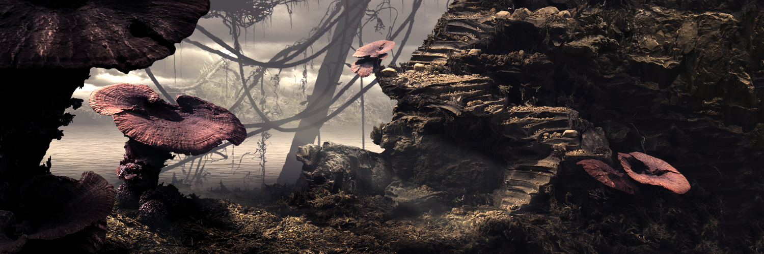 StacyDavidson's profile banner image