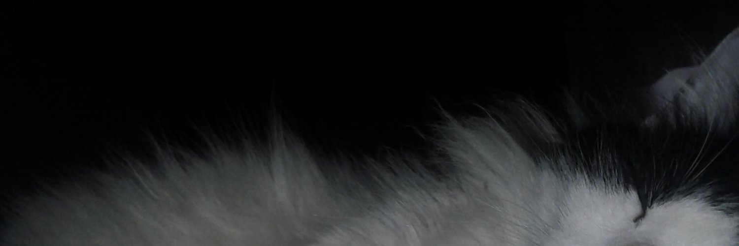 susifavilli_'s profile banner image