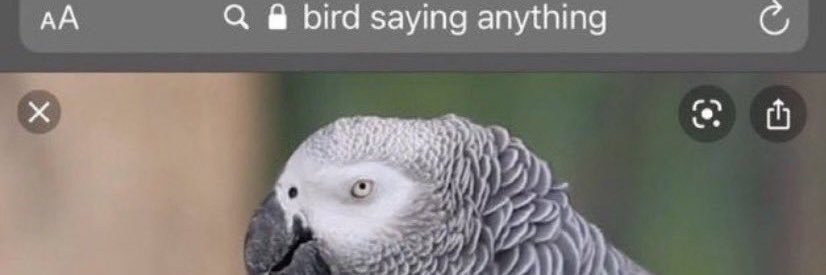 cunt célèbre banner