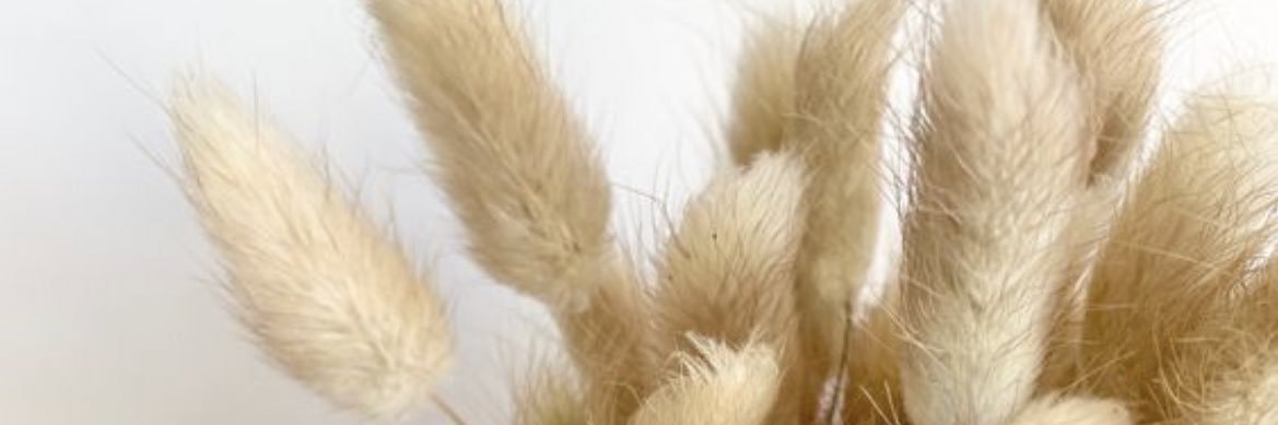amalzrg's profile banner image