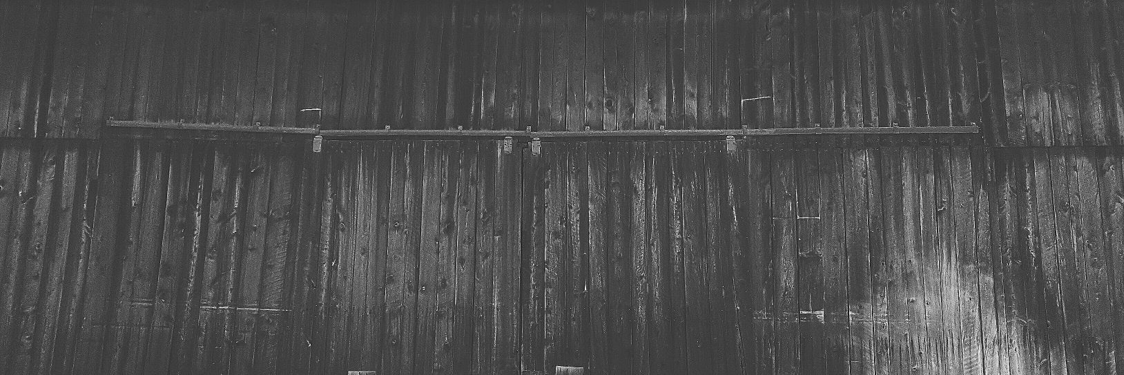 alesha casey-j. banner