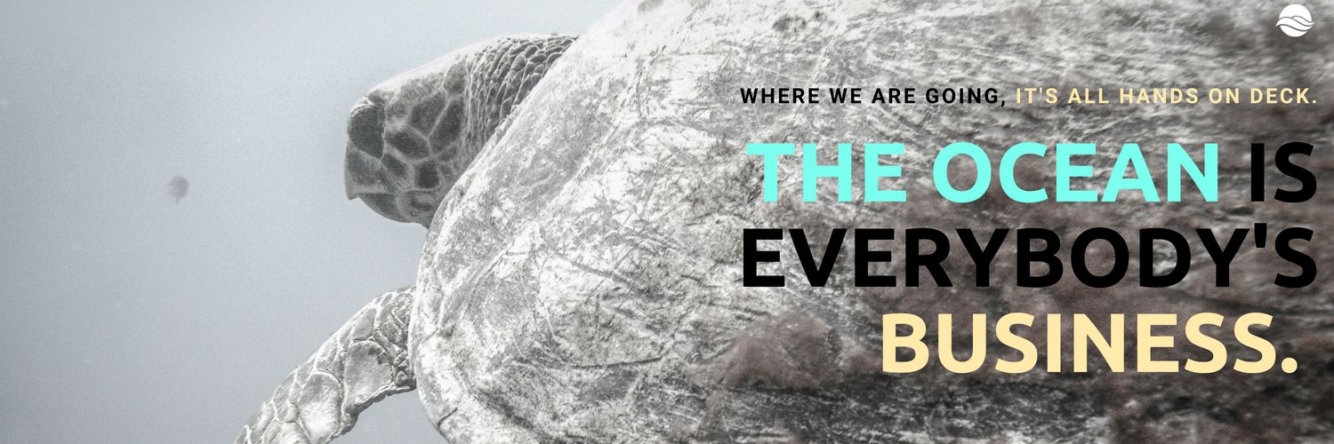 Blue Ocean Summit banner