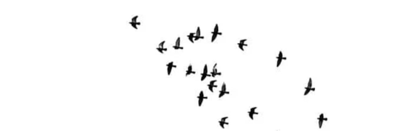 Anwar. banner
