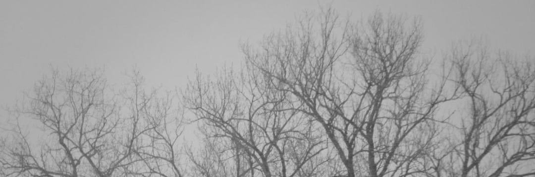 imeroseguera's profile banner image