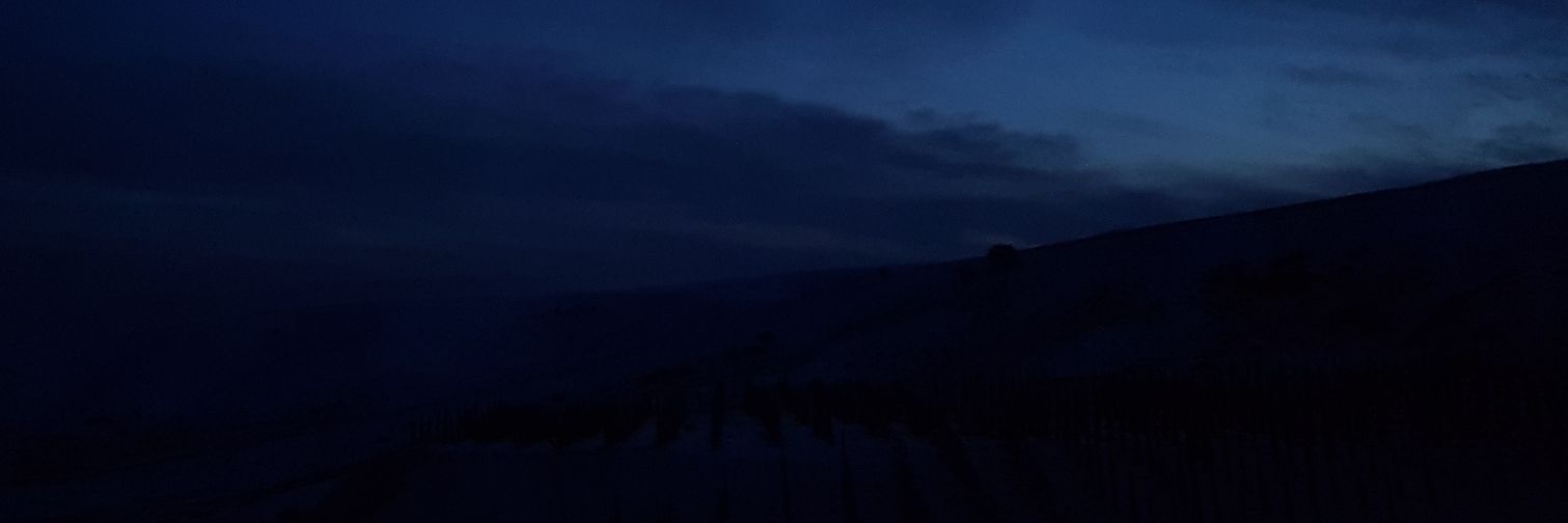 tprktml's profile banner image