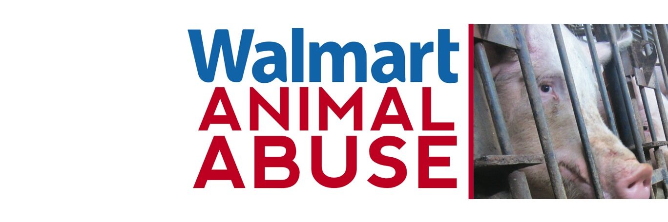 WalmartCruelty's profile banner image