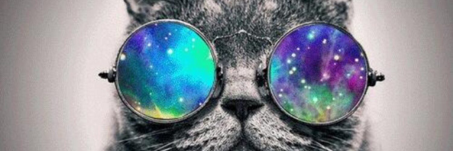 AshyYork's profile banner image