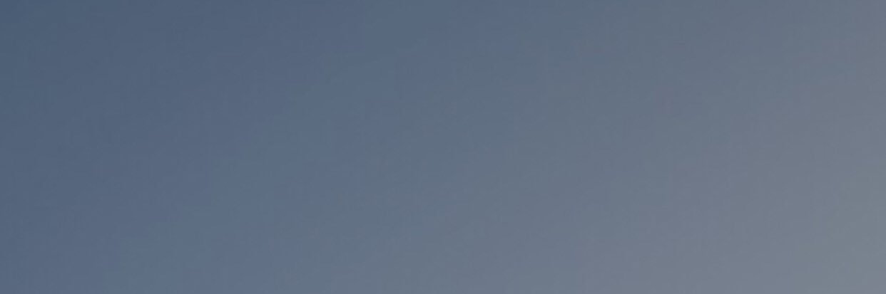 🕷 banner
