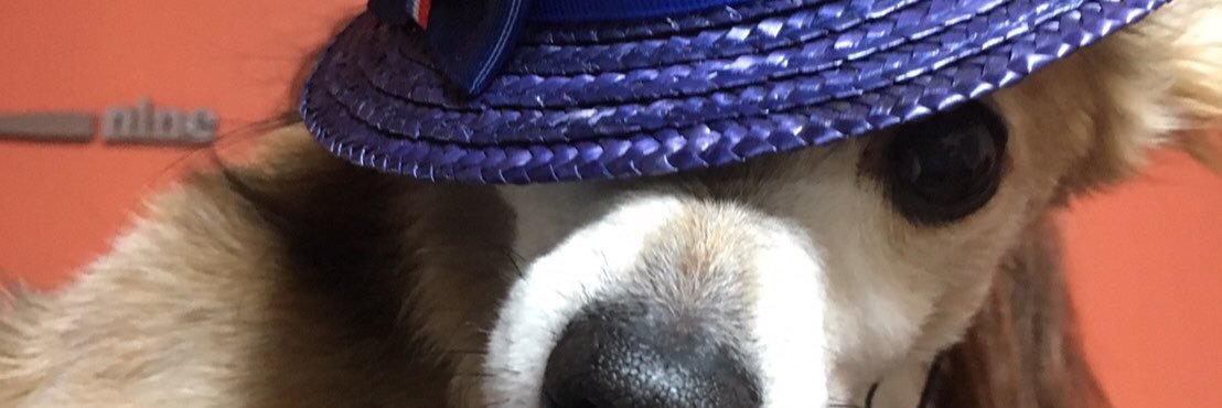 naaase27's profile banner image