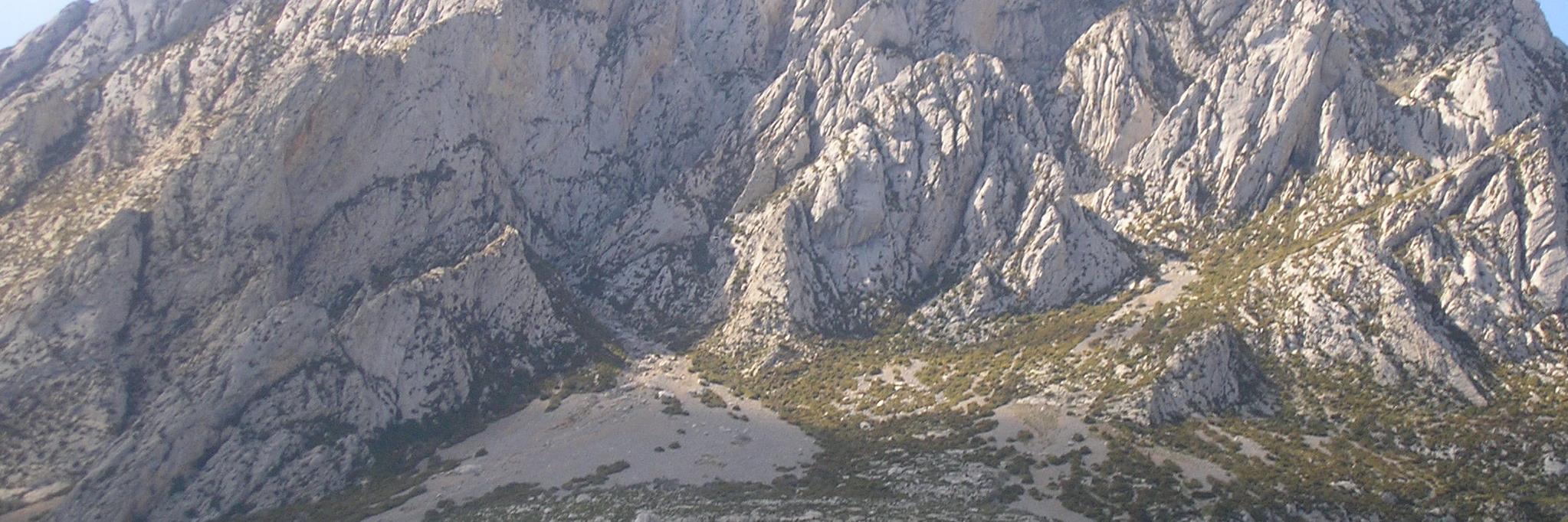 70daroca's profile banner image