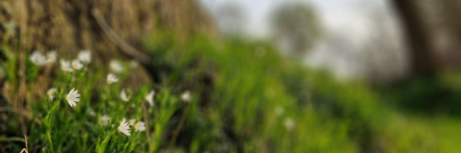 ♥ banner