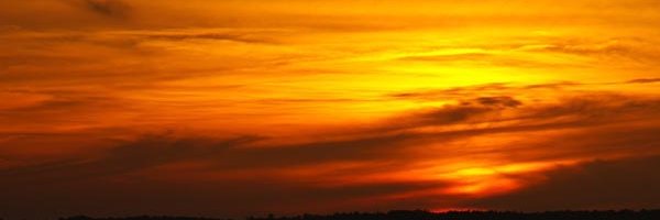 dfickling's profile banner image