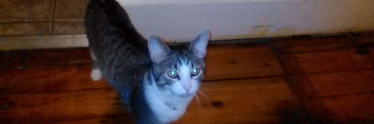 Craigmichaelper's profile banner image