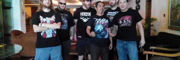 Eko_Insight Profile Banner