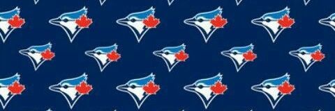 STkachyk's profile banner image