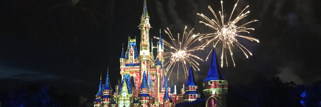 nikaricarota's profile banner image
