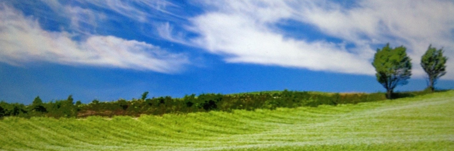 seto__chii's profile banner image