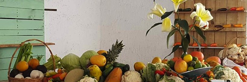 Foodfundingmx's profile banner image