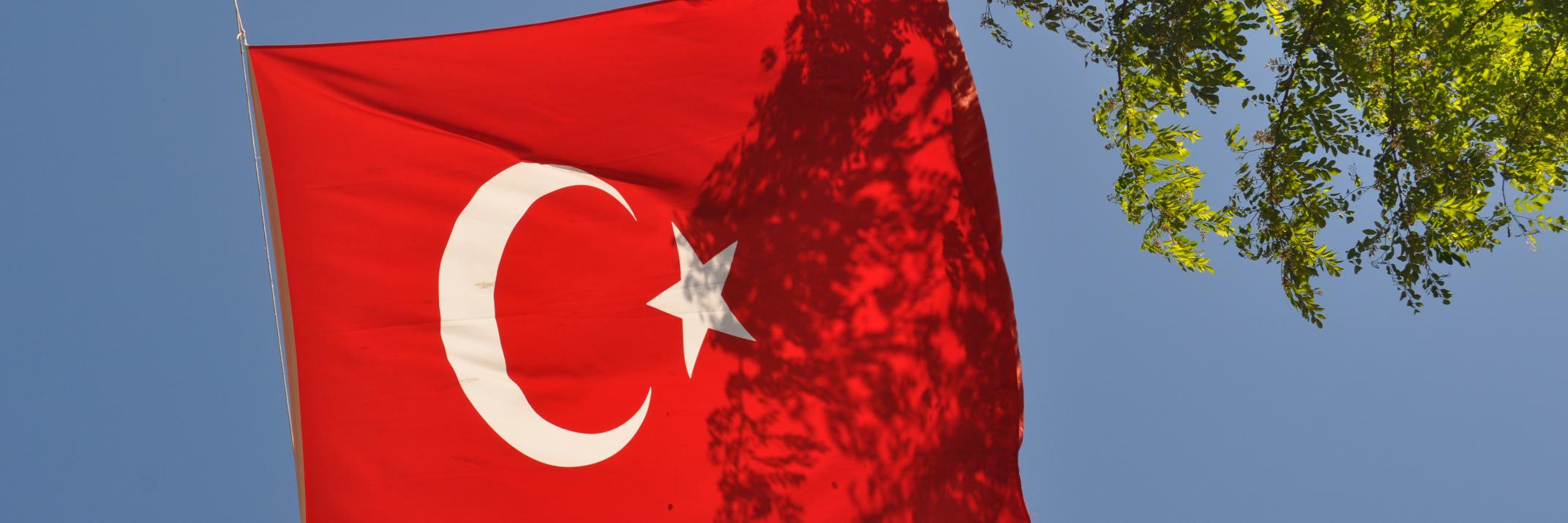 _seldagokce's profile banner image