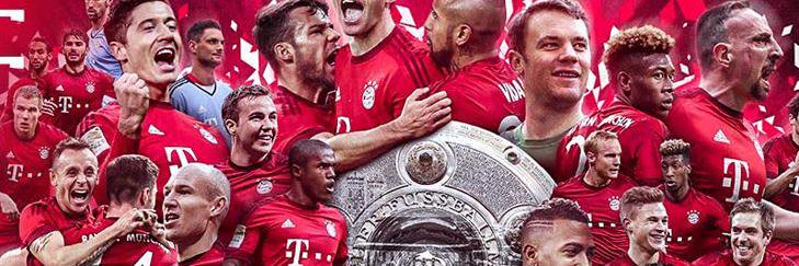 VFL FC Bayern banner