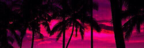 saamsowden's profile banner image