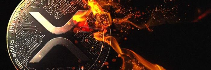 HokuEd's profile banner image