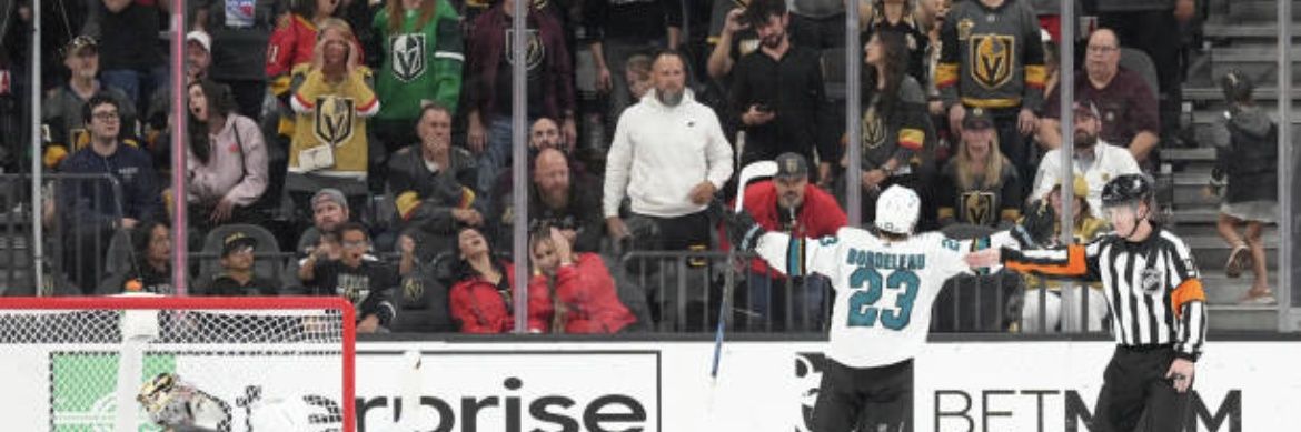 teal_puck's profile banner image