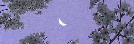 abbeynwhite's profile banner image