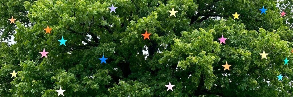✷kantya banner