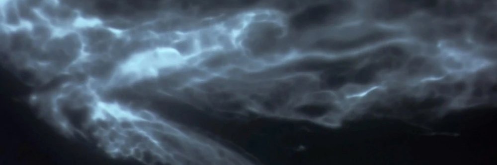 NightErrantry's profile banner image