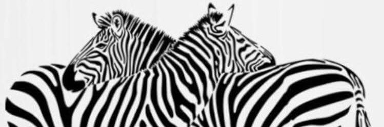 TheCrystalZebra's profile banner image
