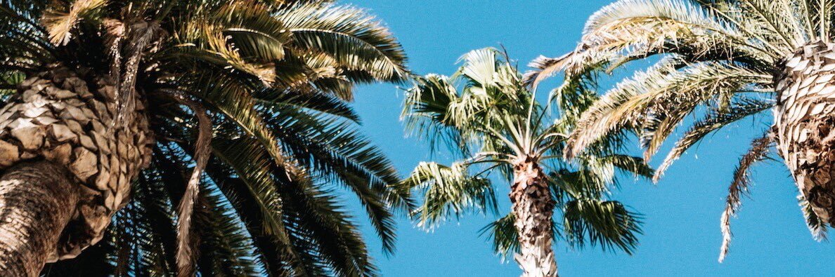 DiogoSebastiao_'s profile banner image