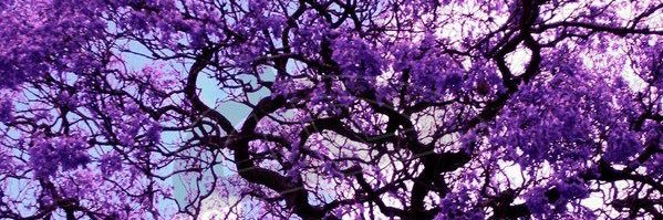 abbyrivera57's profile banner image