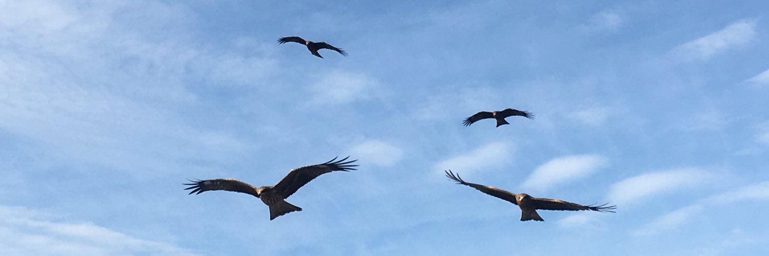 header image