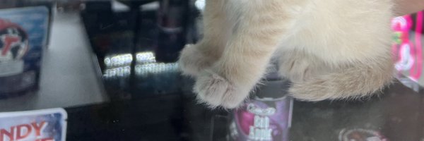ChloeDoherty88 Profile Banner