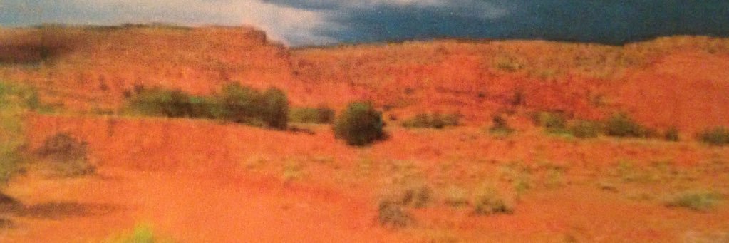 EdenEndfield's profile banner image