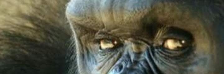 gaucho48's profile banner image