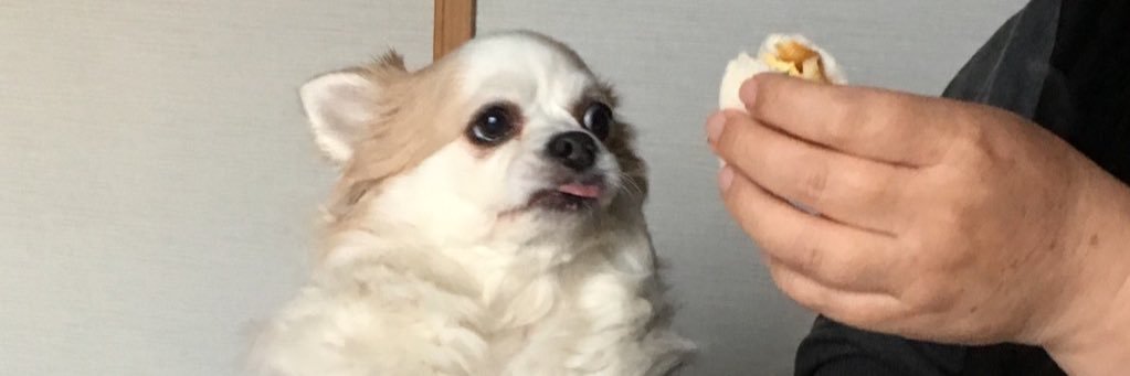 Natan0321's profile banner image