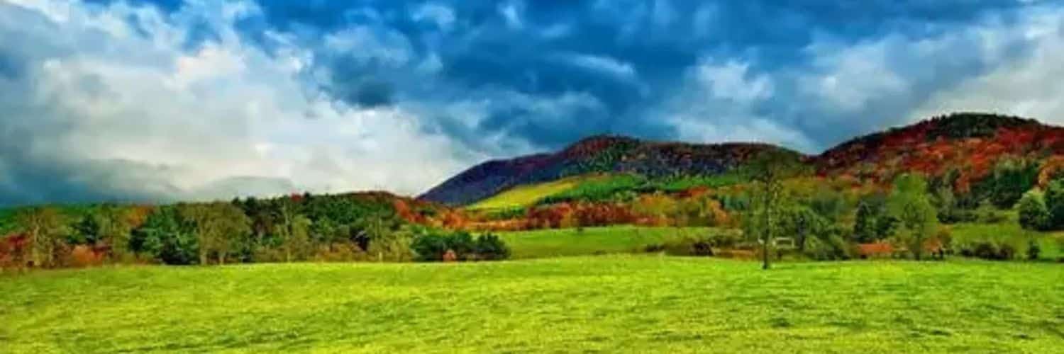 auriibz's profile banner image