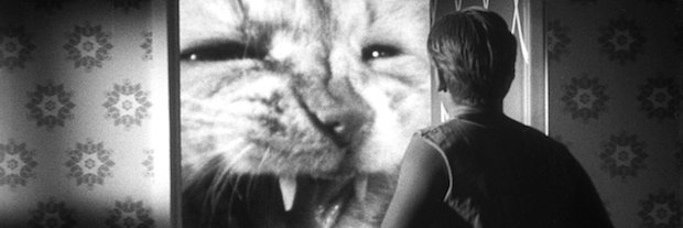 Paul Sweetman banner