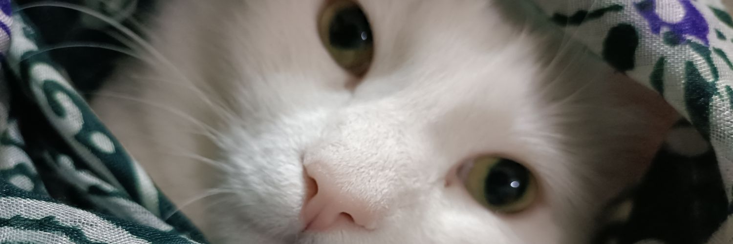 hhulyadogan's profile banner image
