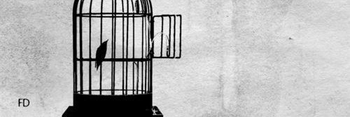 Enip🔥-🍃 banner