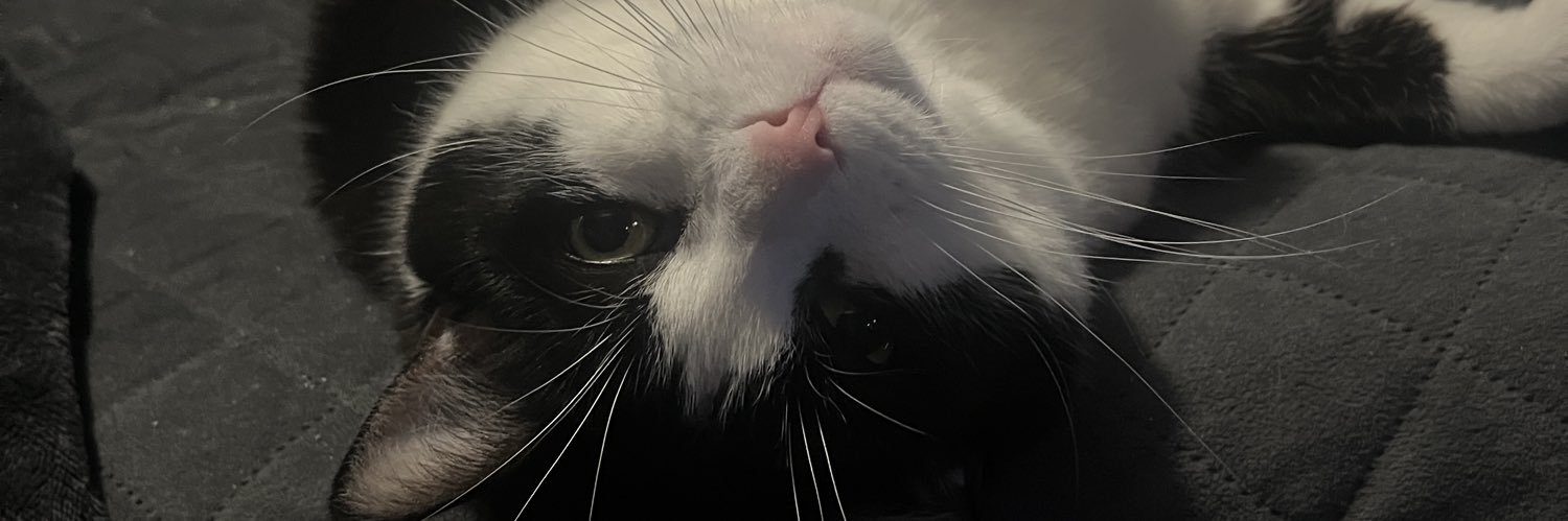 BladeXR0's profile banner image