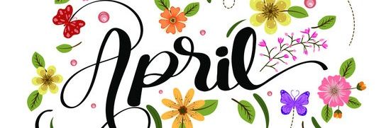 Deborah TruBlue 🇺🇸🇺🇦🏳️‍🌈🏳️‍⚧️🙏🏽☮️🌎🌊🐬 banner